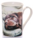 Mug Pup on Boot